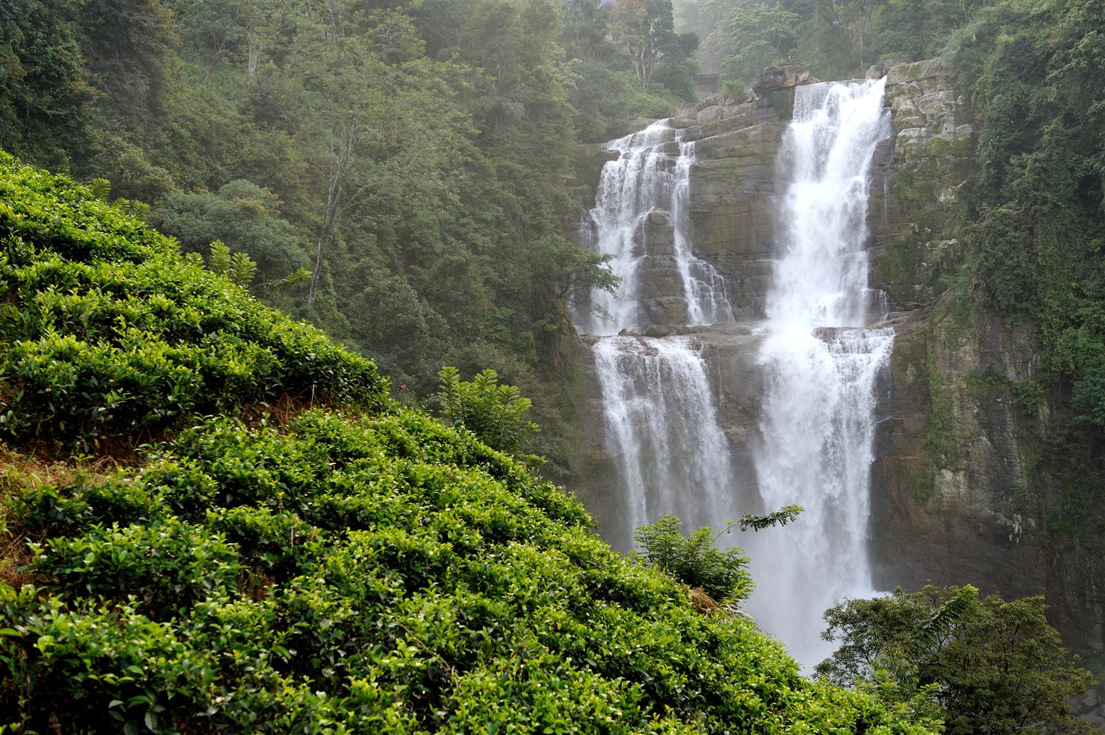 Ramboda waterfall in the Sri Lankan hill country